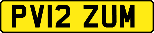 PV12ZUM