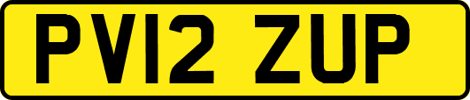 PV12ZUP