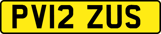 PV12ZUS