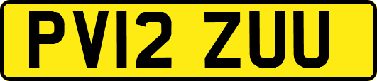 PV12ZUU