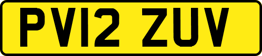 PV12ZUV