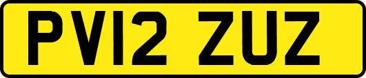 PV12ZUZ