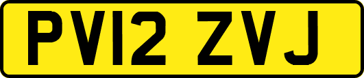 PV12ZVJ
