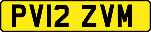 PV12ZVM