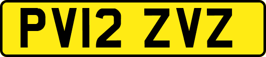 PV12ZVZ
