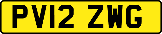 PV12ZWG