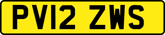 PV12ZWS