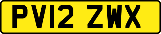PV12ZWX