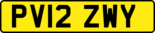 PV12ZWY