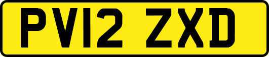 PV12ZXD