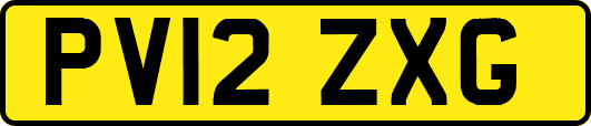 PV12ZXG