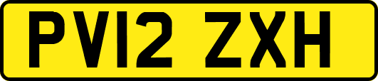 PV12ZXH