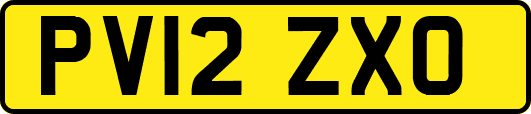 PV12ZXO