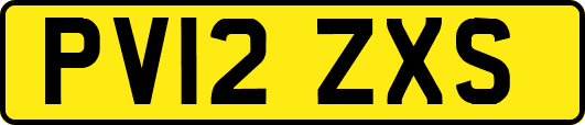 PV12ZXS