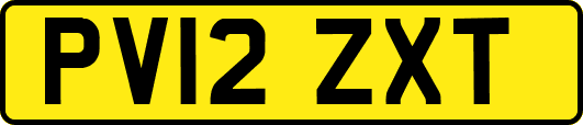 PV12ZXT