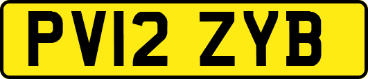 PV12ZYB
