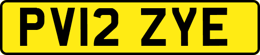 PV12ZYE