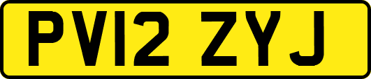 PV12ZYJ