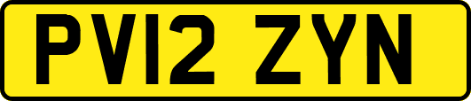 PV12ZYN