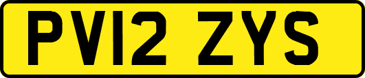 PV12ZYS