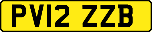 PV12ZZB
