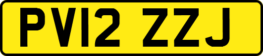PV12ZZJ