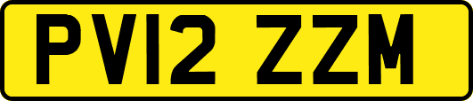 PV12ZZM