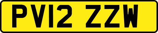 PV12ZZW