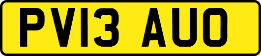 PV13AUO