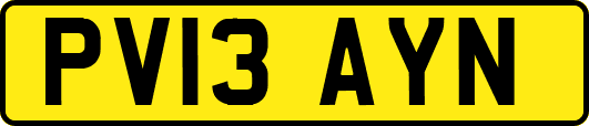 PV13AYN