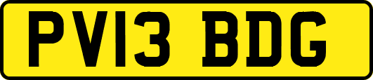 PV13BDG