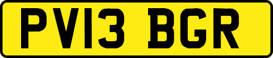 PV13BGR