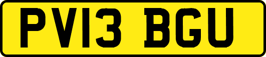 PV13BGU