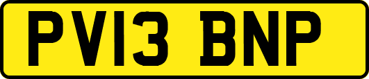PV13BNP