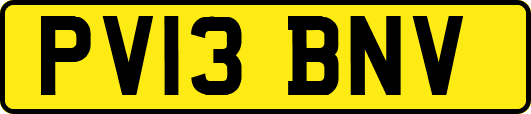 PV13BNV