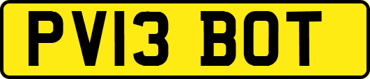 PV13BOT