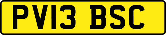 PV13BSC