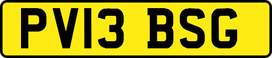 PV13BSG