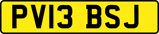 PV13BSJ