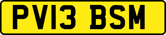 PV13BSM