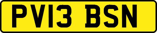 PV13BSN