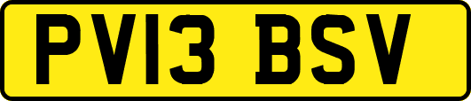 PV13BSV