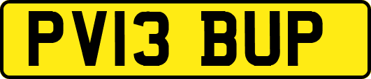 PV13BUP