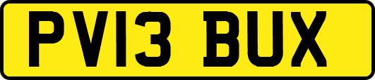 PV13BUX