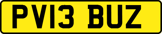 PV13BUZ