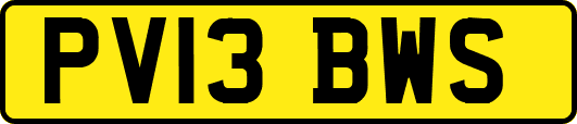 PV13BWS