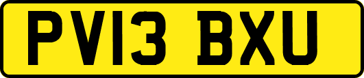 PV13BXU