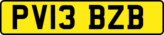 PV13BZB