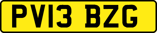 PV13BZG