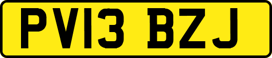 PV13BZJ